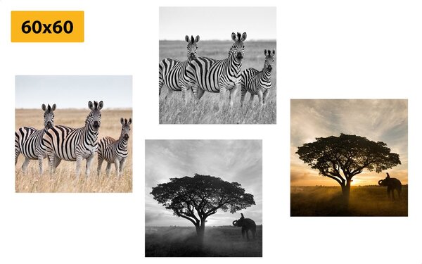 Set tablouri animale trăitoare în Savannah