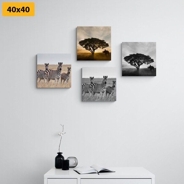 Set tablouri animale trăitoare în Savannah