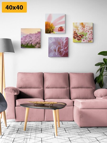 Set tablouri înflorirea naturii