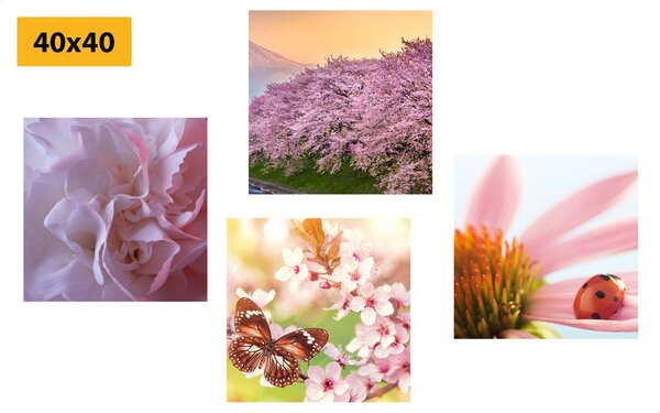 Set tablouri înflorirea naturii