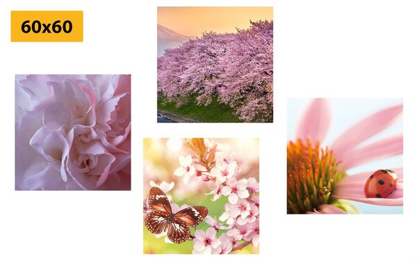 Set tablouri înflorirea naturii