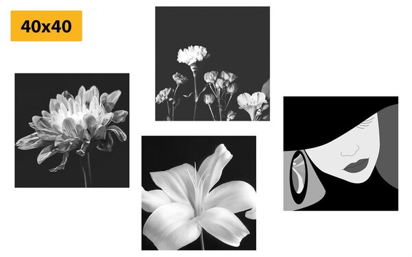 Set tablouri eleganța femeii și a florilor în design alb-negru