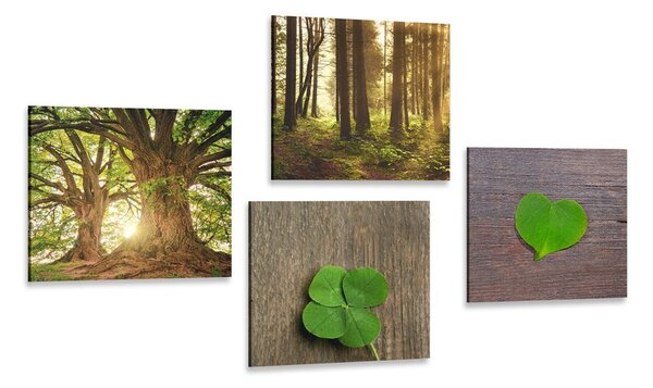 Set tablouri briza naturii