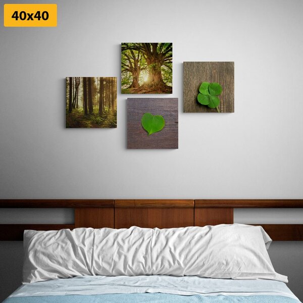 Set tablouri briza naturii