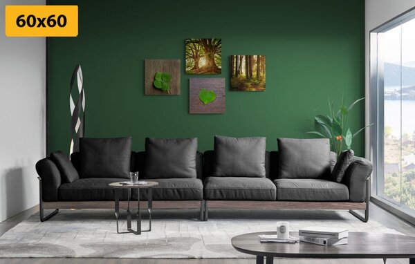 Set tablouri briza naturii