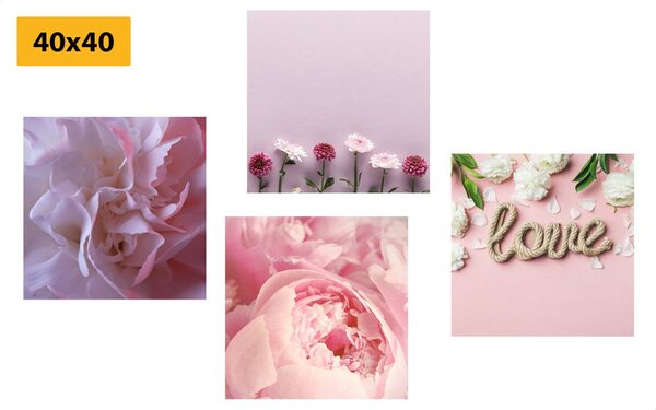 Set tablouri flori în nuanță roz delicată
