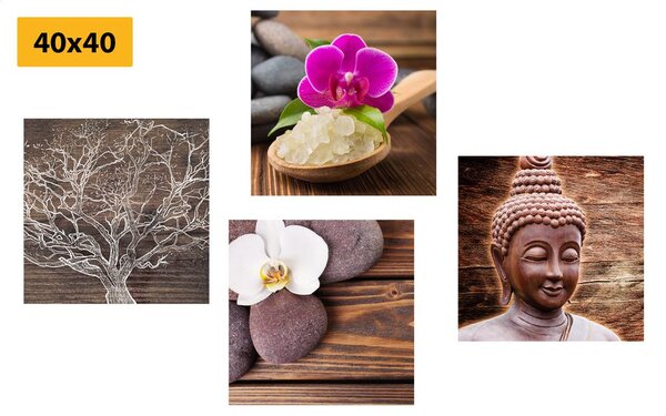 Set tablouri Feng Shui în design natural