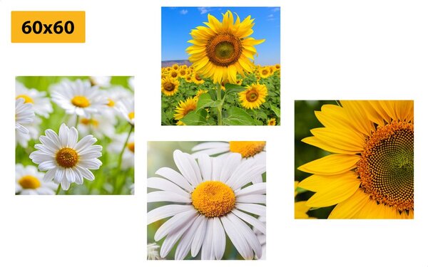 Set tablouri flori frumoase pe luncă