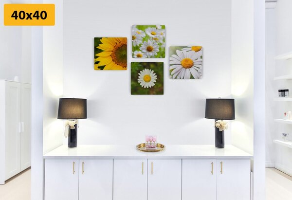 Set tablouri flori de luncă