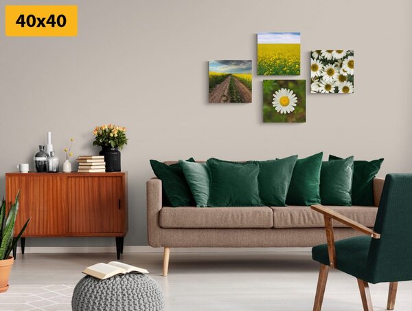 Set tablouri luncă plină de flori