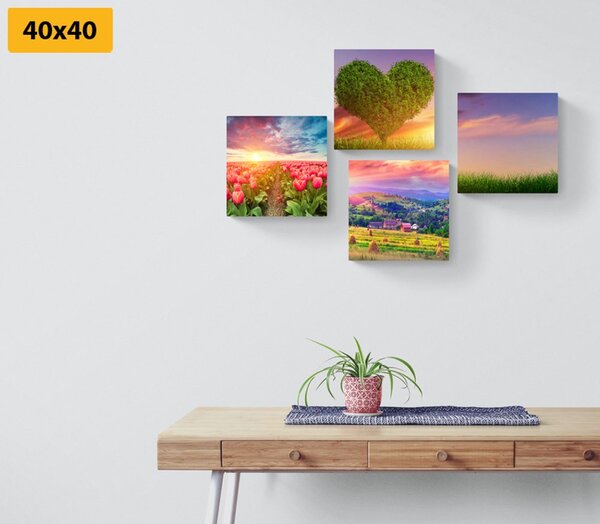 Set tablouri natura în culori pastelate