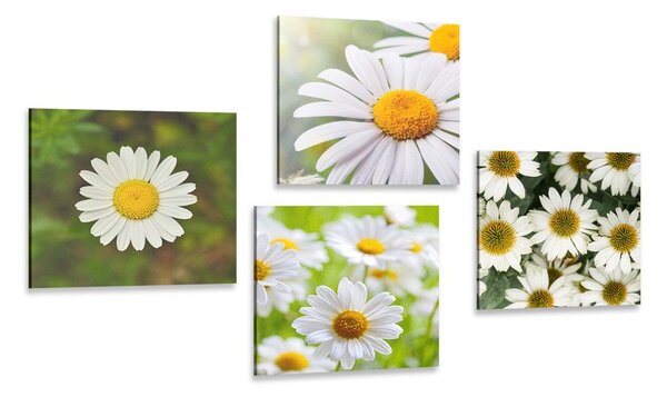 Set tablouri flori magice