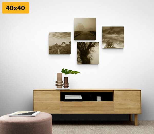 Set tablouri natura misterioasă în design sepia