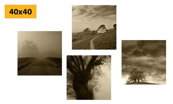 Set tablouri natura misterioasă în design sepia