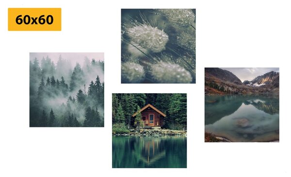 Set tablouri natura magică
