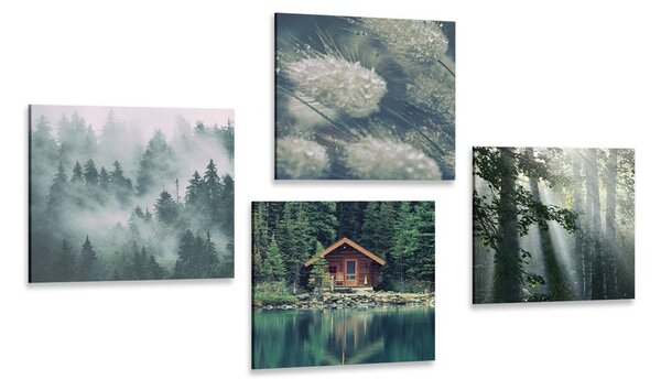 Set tablouri frumusețile naturale