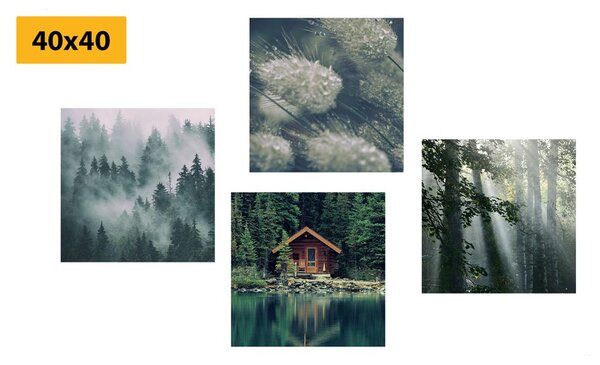 Set tablouri frumusețile naturale