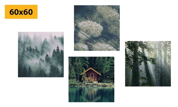 Set tablouri frumusețile naturale