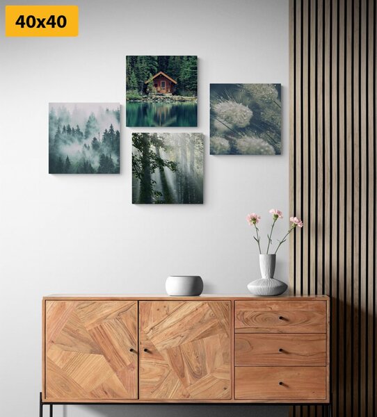 Set tablouri frumusețile naturale