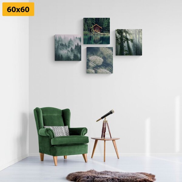 Set tablouri frumusețile naturale