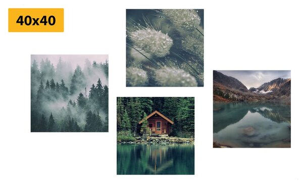 Set tablouri natura magică