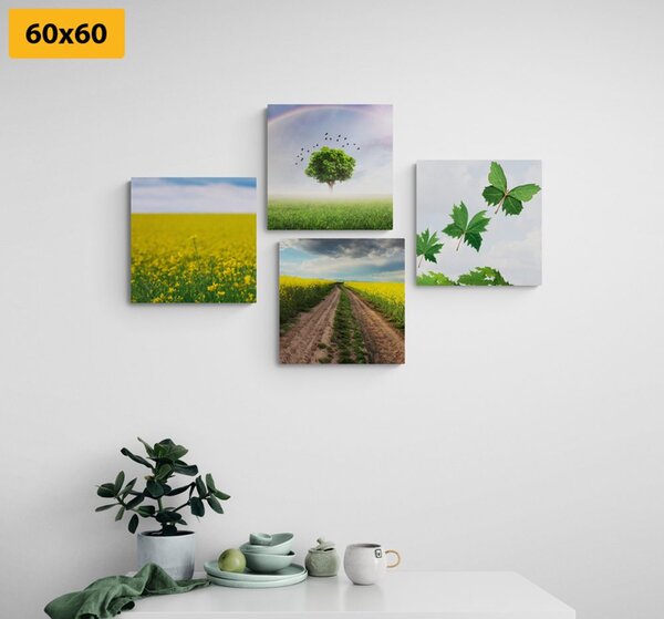Set tablouri natura orbitoare