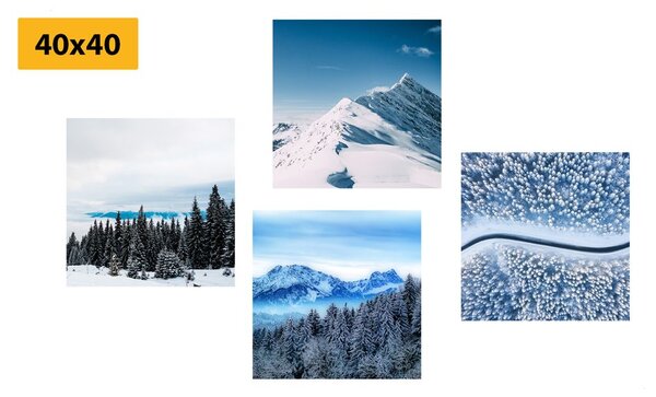 Set tablouri frumusețile naturii înzăpezite