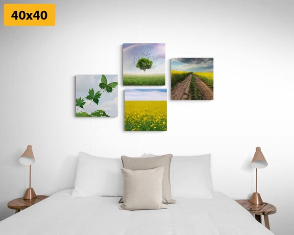 Set tablouri natura orbitoare