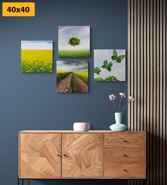 Set tablouri natura orbitoare