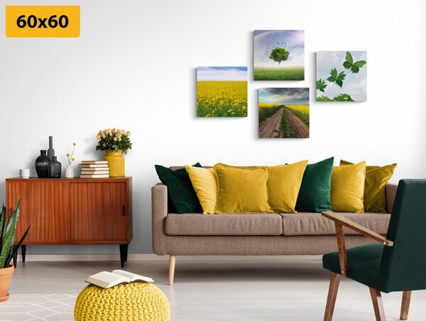 Set tablouri natura orbitoare