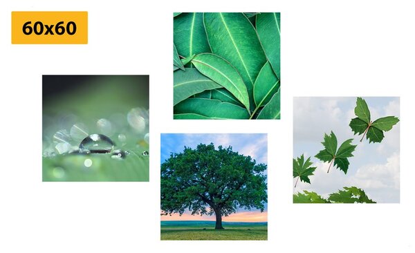 Set tablouri natura plină de verdeață