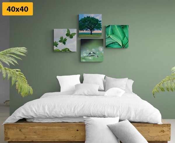 Set tablouri natura plină de verdeață