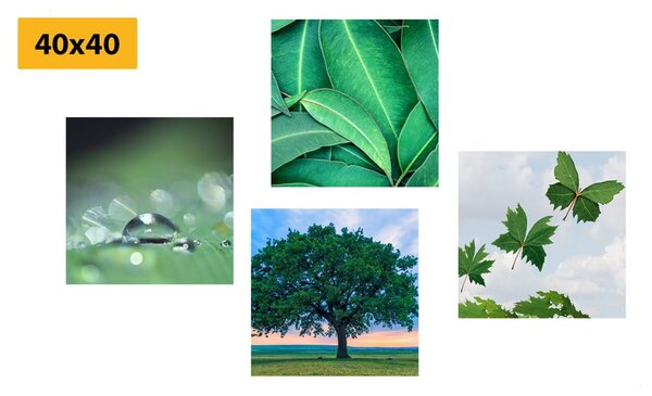 Set tablouri natura plină de verdeață