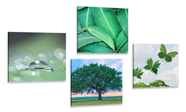 Set tablouri natura plină de verdeață