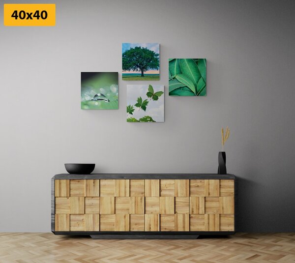 Set tablouri natura plină de verdeață