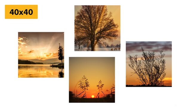 Set tablouri natura încăntătoare
