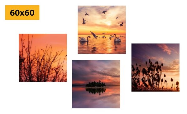 Set tablouri natura în design romantic