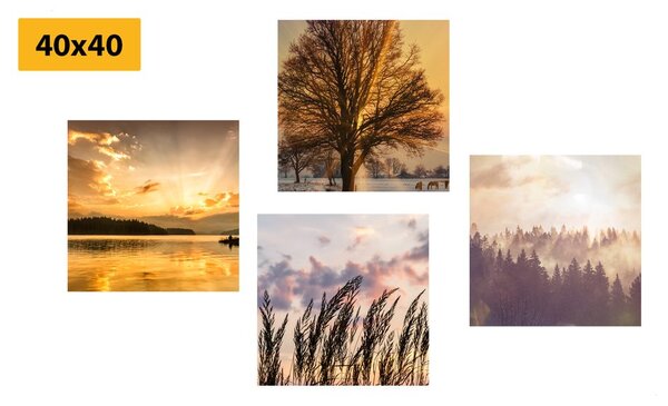 Set tablouri frumusețile naturale