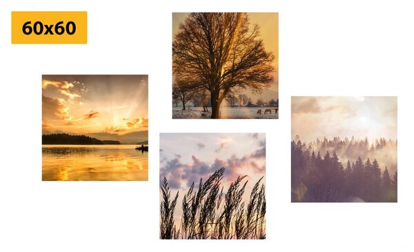 Set tablouri frumusețile naturale