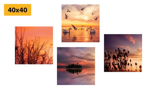 Set tablouri natura în design romantic