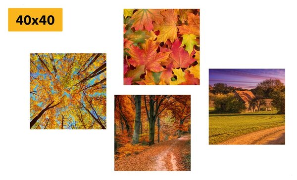 Set tablouri natura în culori de toamnă