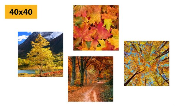 Set tablouri natura de toamnă în culori frumoase
