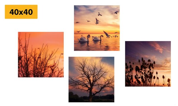 Set tablouri natura încântătoare