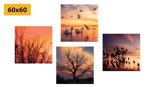 Set tablouri natura încântătoare