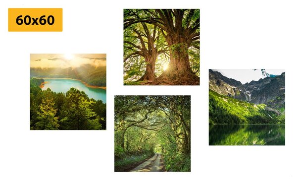 Set tablouri natura verde frumoasă