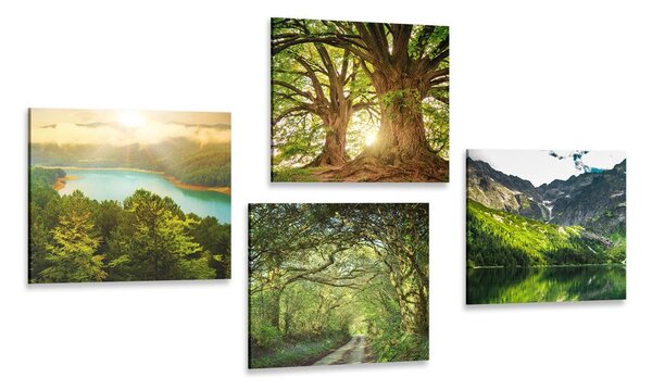Set tablouri natura verde frumoasă