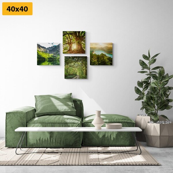 Set tablouri natura verde frumoasă