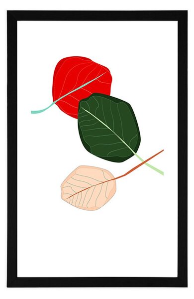 Poster cu passepartout frunze pline de culori