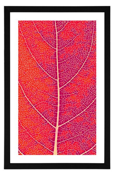 Poster cu passepartout structura frunzei