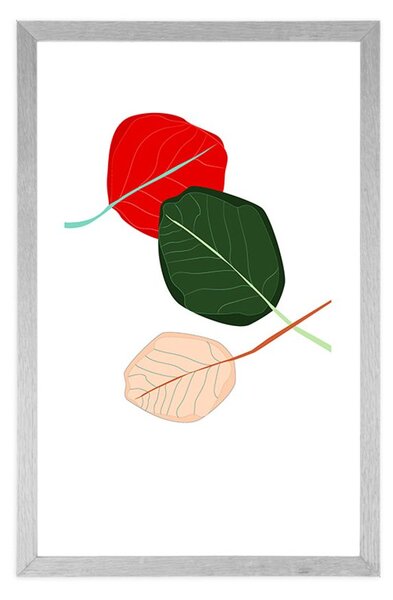 Poster cu passepartout frunze pline de culori
